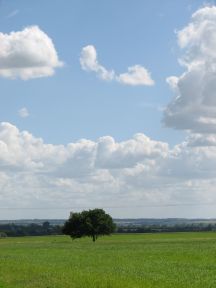 Greenwich Meridian Marker; England; Cambridgeshire; Bluntisham